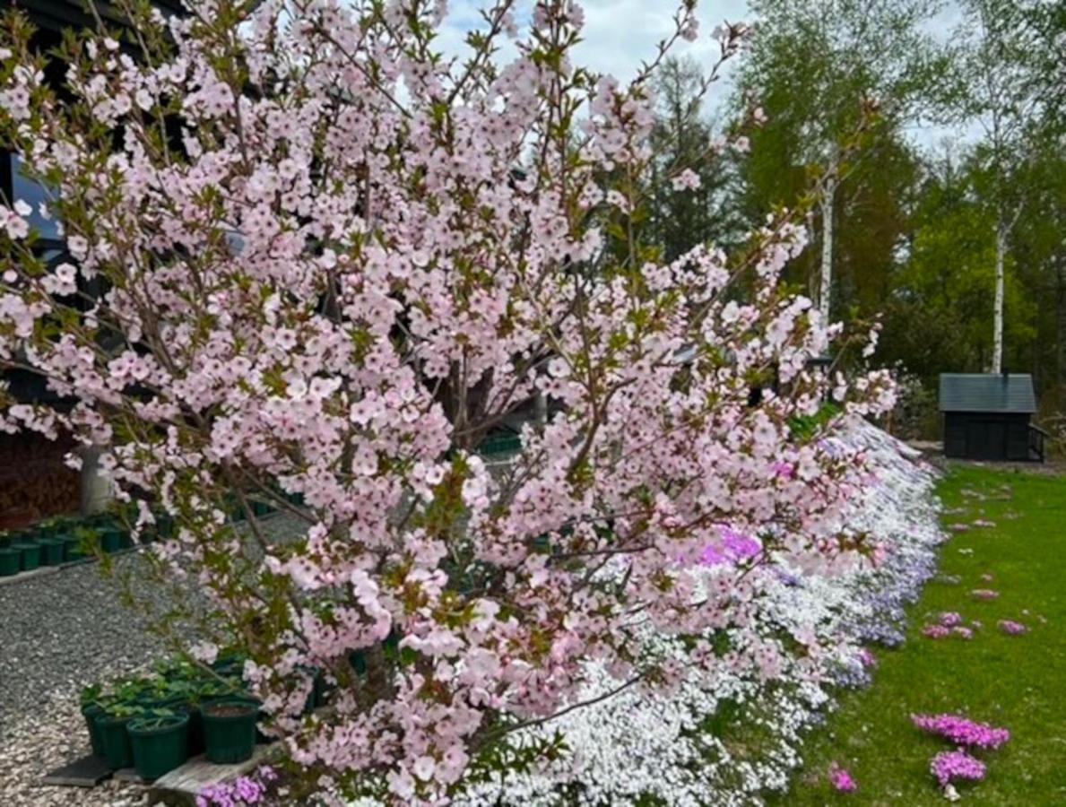 בית הארחה ביאיי 	Ritz Garden Niji מראה חיצוני תמונה