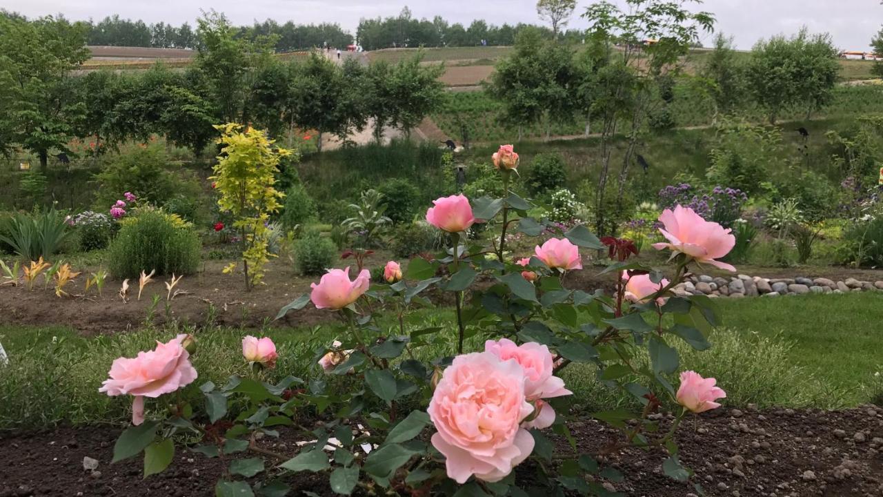 בית הארחה ביאיי 	Ritz Garden Niji מראה חיצוני תמונה
