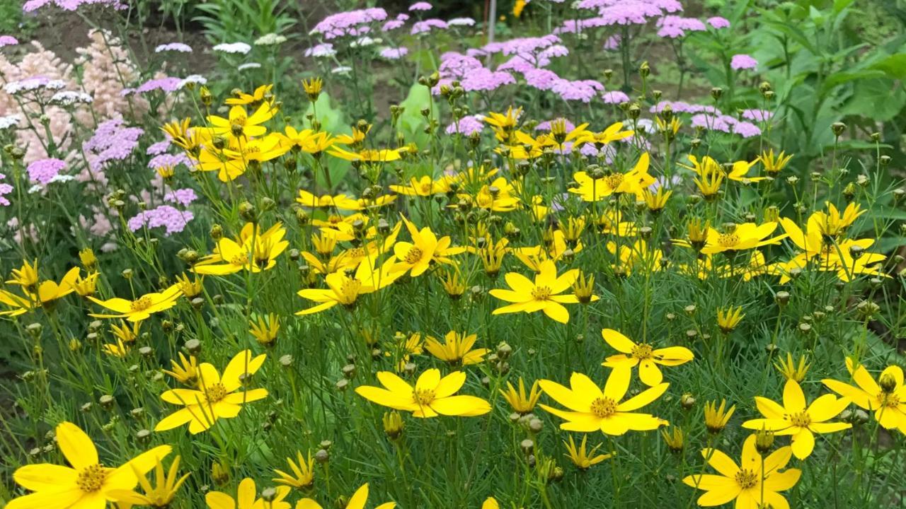 בית הארחה ביאיי 	Ritz Garden Niji מראה חיצוני תמונה